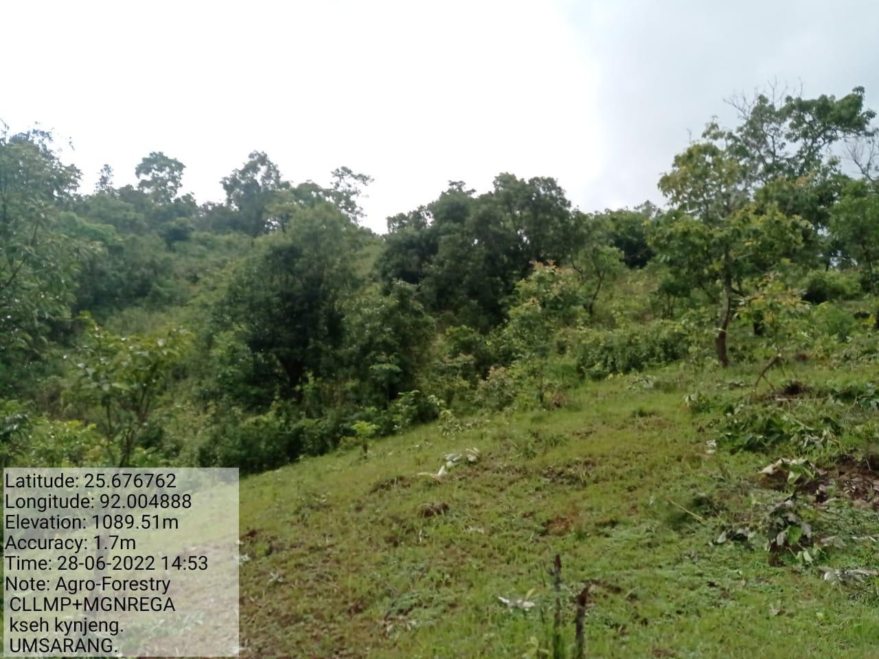 C:\Users\Lavinia Pde\Downloads\WhatsApp Image 2023-03-27 at 12.27.39.jpeg